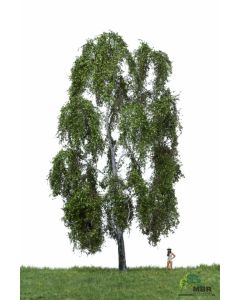 Løvtrær, , MBR51-2401