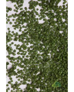 Løv og matter for trær, mbr-model-50-6001-birch-leaves-dark-green, MBR50-6001