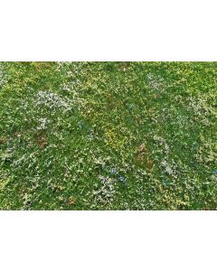 Gressmatter, model-scene-f562-blooming-meadow-early-summer, MDSF562