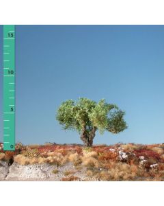 Løvtrær, Kopfweide, stor 3 stk, MIN241-02