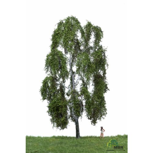Løvtrær, , MBR51-2401