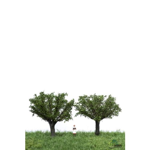 Løvtrær, , MBR51-2308