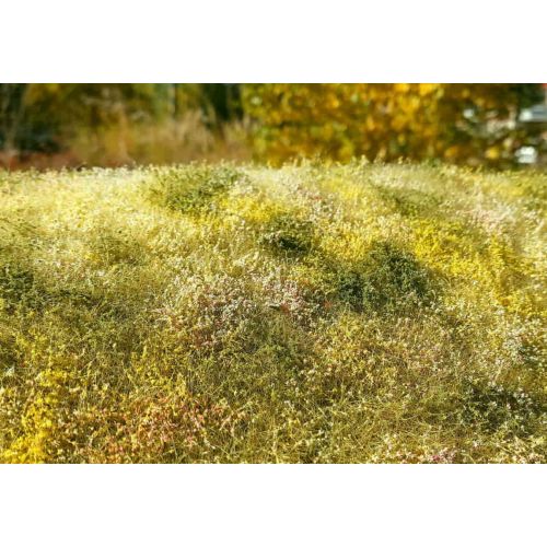 Gressmatter, model-scene-f563-blooming-meadow-late-summer, MDSF563